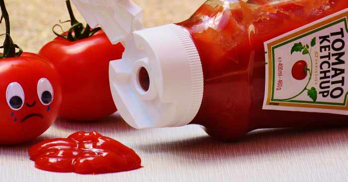 best tomato ketchup in hindi